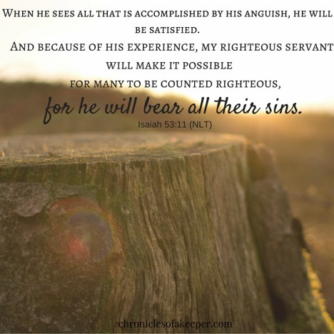 When he sees all that is accomplished by his anguish, he will be satisfied. And because of his experience, my righteous servant will make it possible for many to be counted righteous, for he will bear all their sins